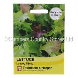 Thompson & Morgan Lettuce Leaves Mix